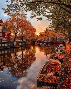 The Best Destinations For fall