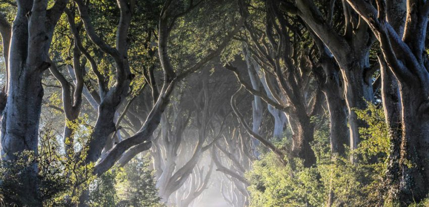 Game of Thrones Destinations To Travel To This Year 05