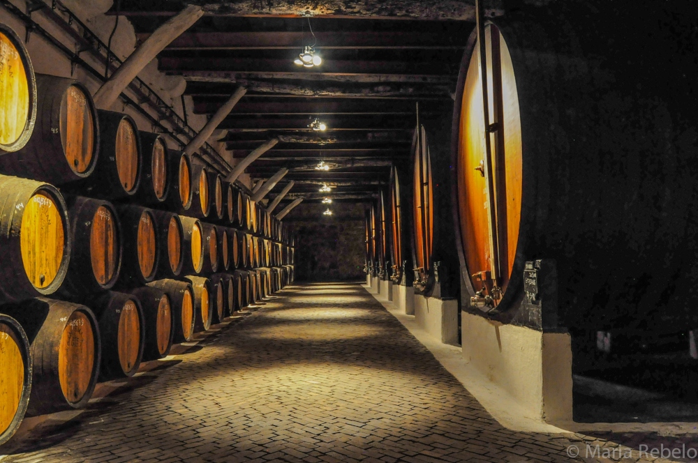 5 Reasons To Visit Porto