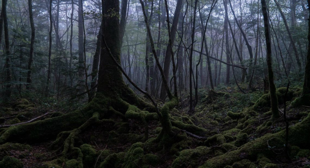 Haunted Destinations for Halloween 2019 04