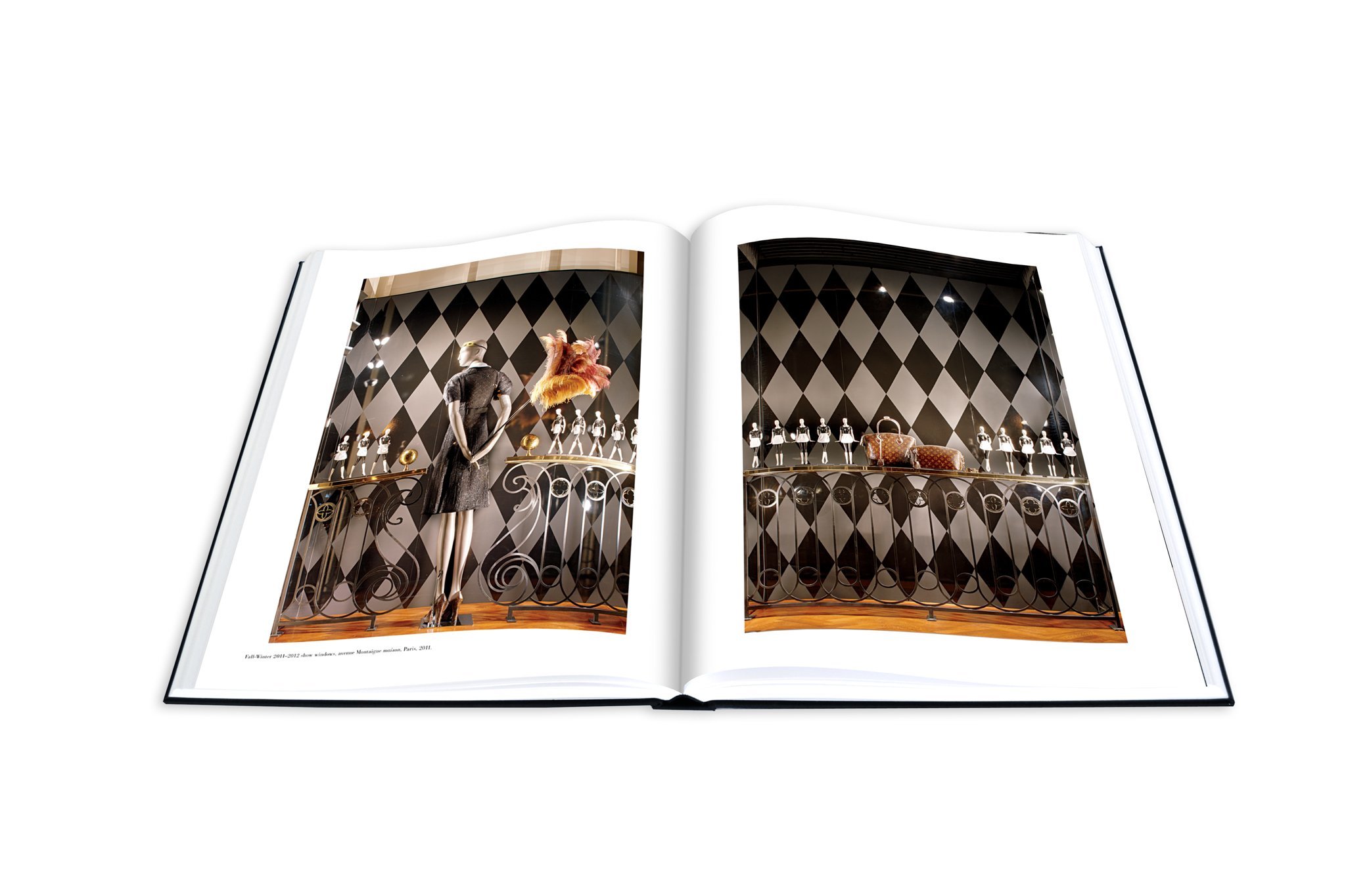 Louis Vuitton Windows [Book]