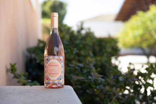 Dolce & Gabbana Release Rosé Wine With Donnafugata