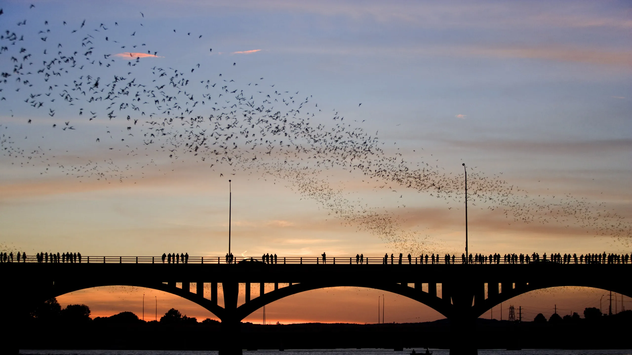 The Top Festivals in Austin