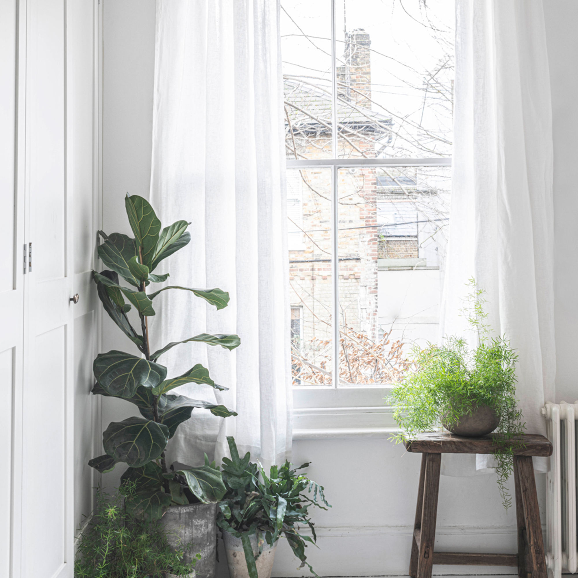 How To Achieve The Coastal Grandmother Aesthetic With 8 Simple Steps!